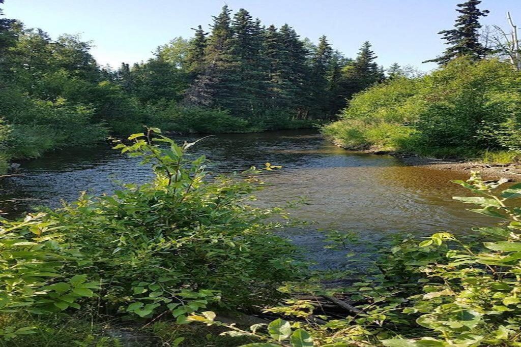 Moose Meadows- Near The Airport, Centrally Located Anchorage Exterior foto